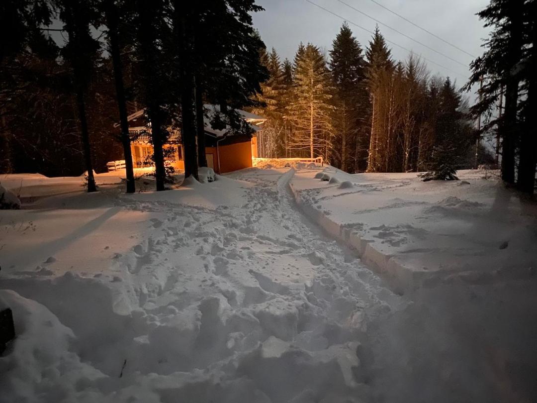 Chalet De Manu Sondernach Exteriör bild